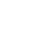 Search Icon